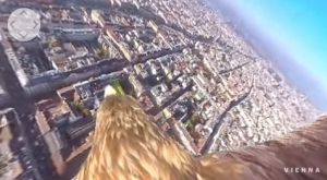 ウィーン上空を飛ぶ鷲に乗せたカメラで都市を撮影した360度動画