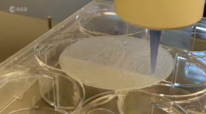 血漿を3Dプリントして皮膚を作る