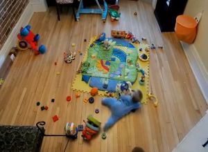 9ヶ月の赤ちゃんが物を散らかす様子を微速度撮影