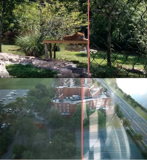 写真の手前の邪魔なものを消すAI