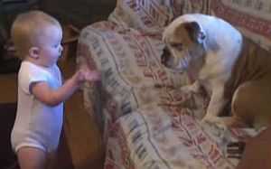 ソファを占有する犬に説教し続ける幼児