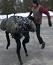 4足歩行ロボットBig Dog
