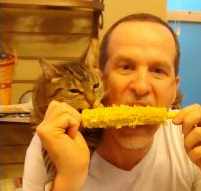 猫と一緒にトウモロコシを丸かじり