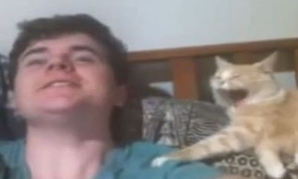 人間のあくびは猫にも伝染しますｗ