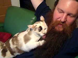 ヒゲを異常に愛している猫