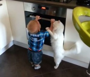 猫がオーブンを弄ろうとする子どもを邪魔して助ける