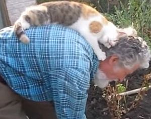 大好きなお爺さんの背に乗って顔をこすりつける猫