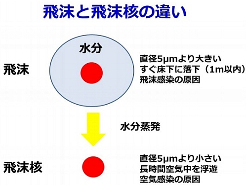 飛沫と飛沫核の違い