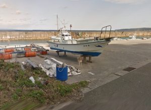 グーグルストリートビューを追いかける犬