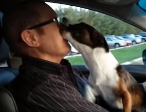 ドッグレース場に来たとわかった途端大喜びな犬