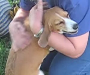 飼い主に7日ぶりに再会した犬がここまで激しく鳴くかというほどに喜ぶ様子