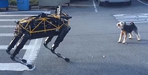犬VS犬ロボット