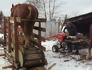 馬の力で動かすルームランナーみたいなユニークな薪割り機