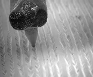 電子顕微鏡でレコードの溝を撮影