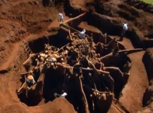 地中の蟻の巣をコンクリで固めて取り出す
