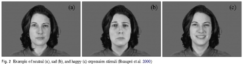 表情を見て感情を評価させるテスト