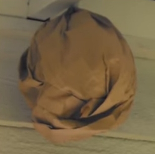 茶色い紙袋のダミーの巣