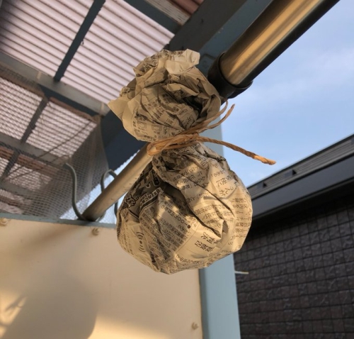 新聞紙で作ったアシナガバチ用ダミーの巣