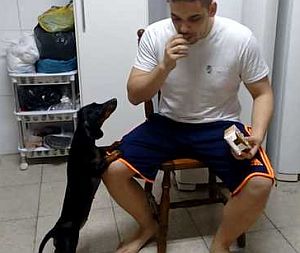 犬に薬を食べさせるうまい方法