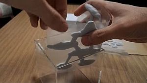石膏で蟻の巣を作る方法