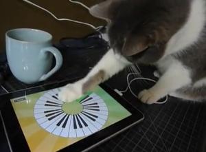 iPadで遊ぶ猫