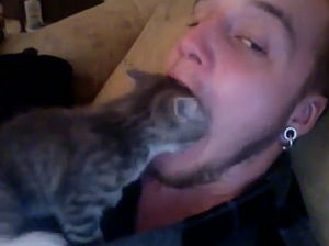 人の口をのぞきたい子猫