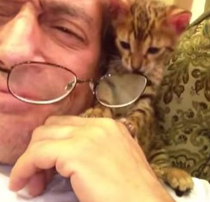 子猫が飼い主のメガネを奪う