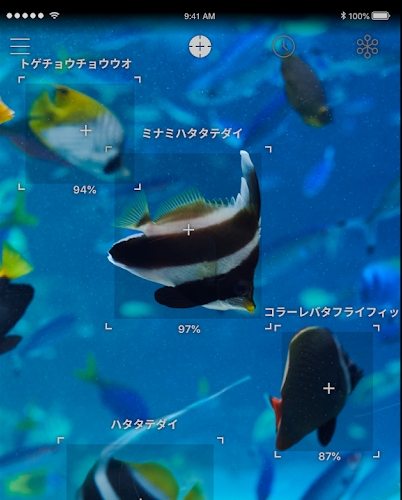 LINNE LENS かざすだけで魚や動物の名前がわかるアプリ