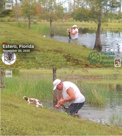ワニに食われそうな飼い犬を救出