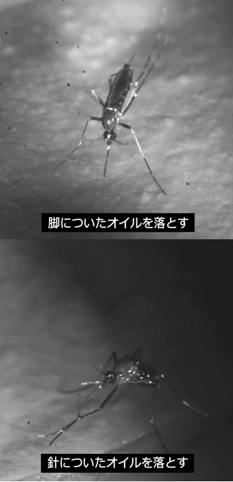 蚊はシリコンオイルを嫌う