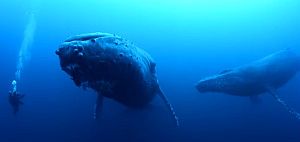 子をシャチに食われて放心する母鯨が父鯨に慰められる