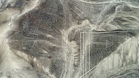パルパ砂漠で新たな25の地上絵