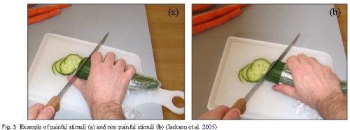 包丁でキュウリを切る画像を見せるテスト