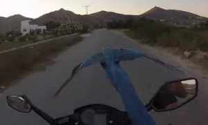 走っているバイクと並走して飛ぶインコ