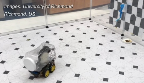 鼠は車を運転できる