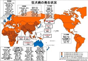 世界の狂犬病分布