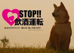 飲酒運転撲滅啓発CM柴犬こゆき編