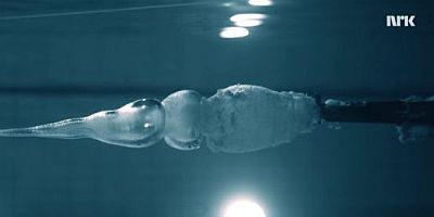 水中でショットガンを撃っても1mも飛ばない