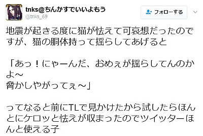 地震で怯える猫の体を揺すぶると怯えが収まる