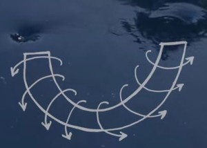 プールの丸い影は渦が作っていた影だった