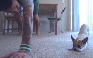 飼い主のヨガを真似するチワワ